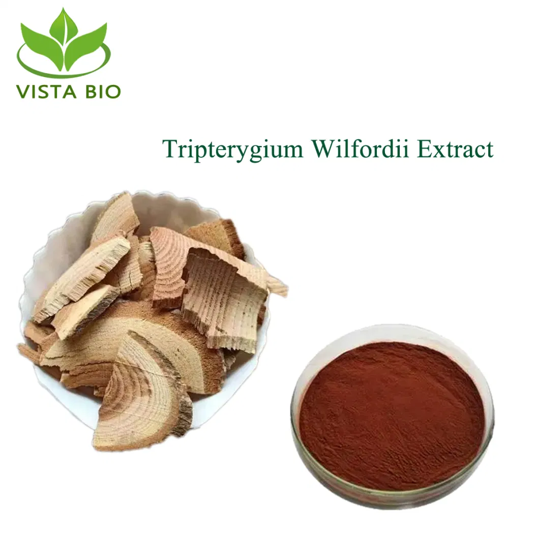 Pharmaceutical and Health Care Supplement Tripterygium Wilfordii Extract Thunder God Vine Extract