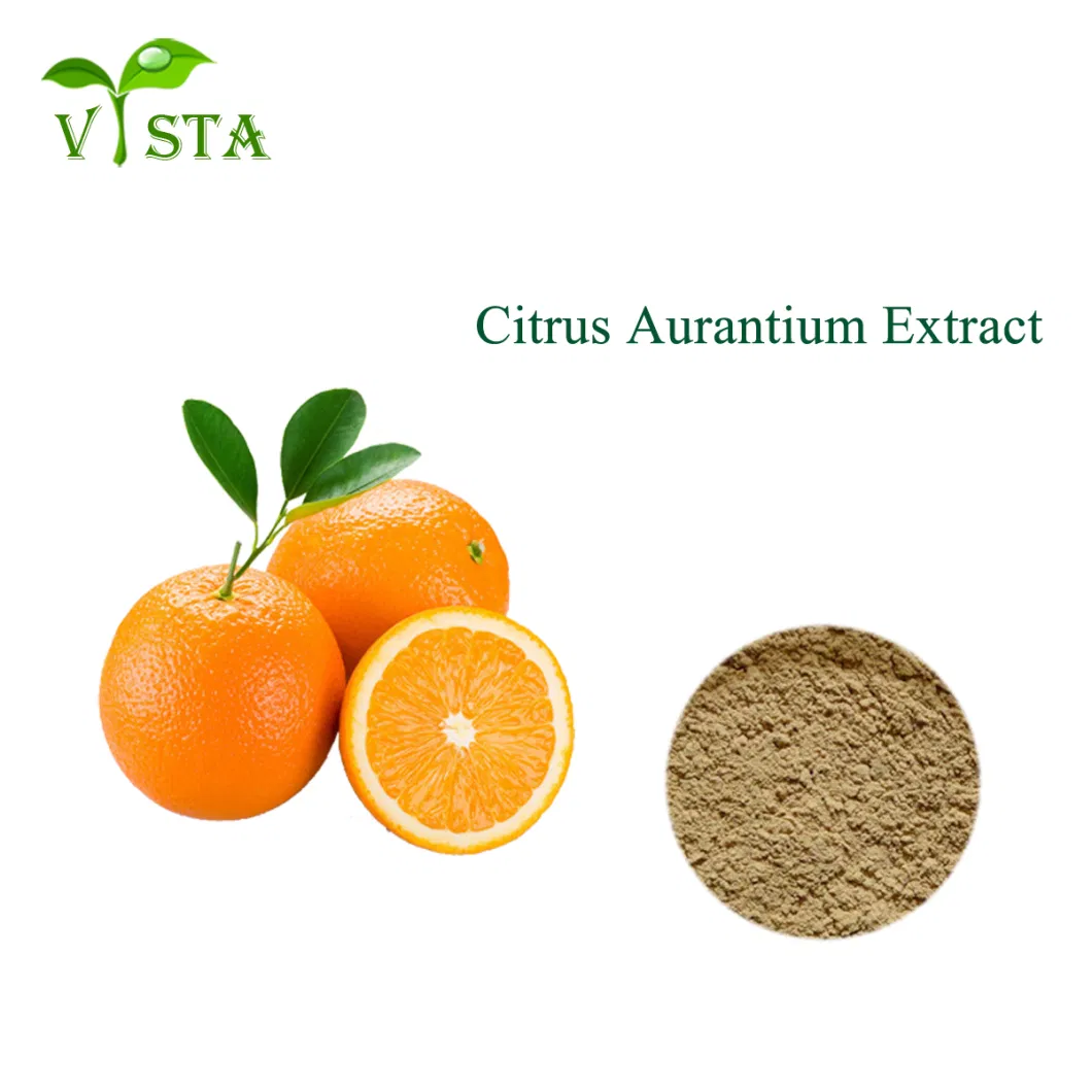 Factory Supply Herbal Extract Citrus Aurantium Extract Bitter Orange Extract