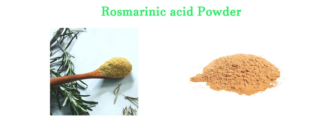 Natural Rosmarinic Acid 10% Rosemary Extract CAS20283-92-5