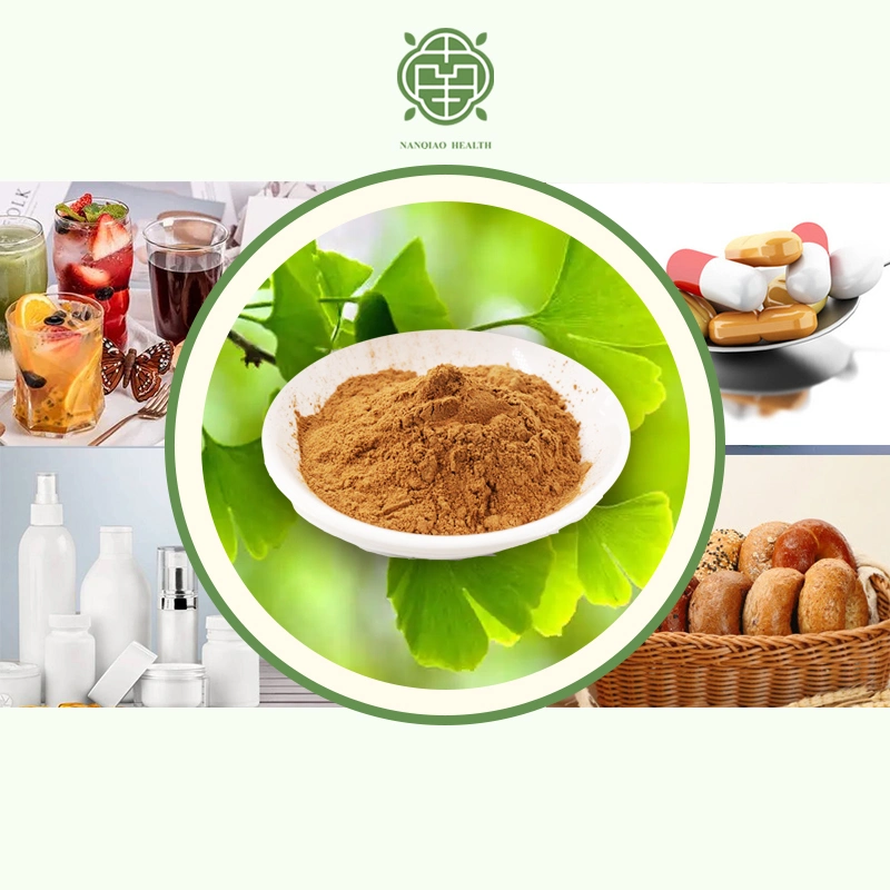 Nanqiao Factory Direct Sale High Quality 99% Purity Plant Extract Ginkgo Biloba Extract CAS 90045-36-6