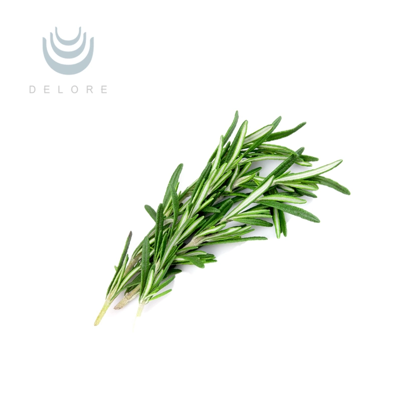 Kosher/Halal Factory Supply Rosemary Extract 10% 20% Carnosic Acid, Carnosic Acid Powder/Liquid or Oil