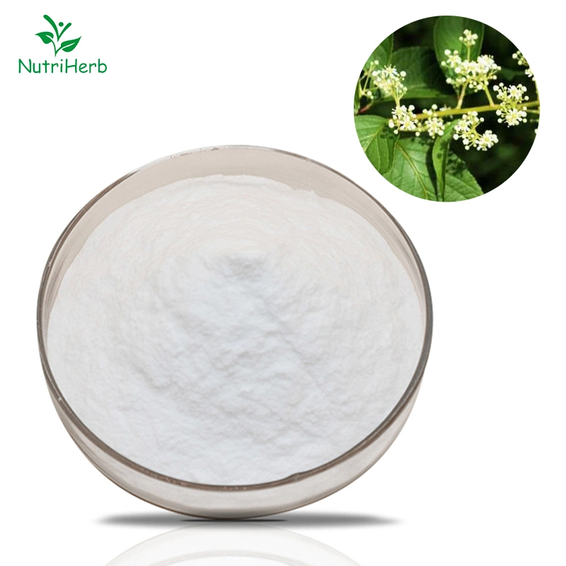 100% Natural Tripterygium Wilfordii Extract Triptolide 98% Powder Thunder God Vine Extract