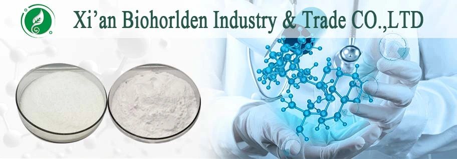 Pharmaceutical Chemical Nootropics Nacet Powder OEM Capsules N-Acetyl-L-Cysteine Ethyl Ester
