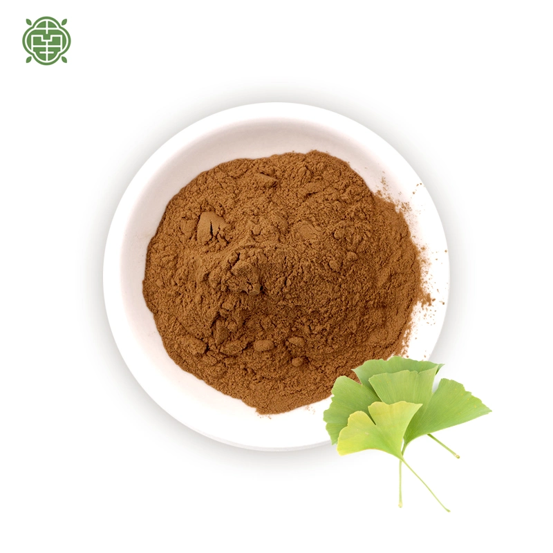 Nanqiao Factory Direct Sale High Quality 99% Purity Plant Extract Ginkgo Biloba Extract CAS 90045-36-6