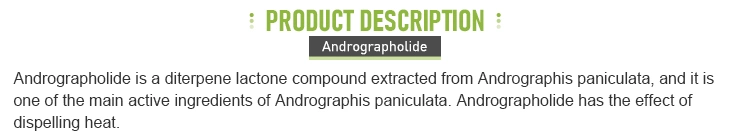 Wholesale Bulk Natural 98% Andrographis Paniculata Extract Andrographolide