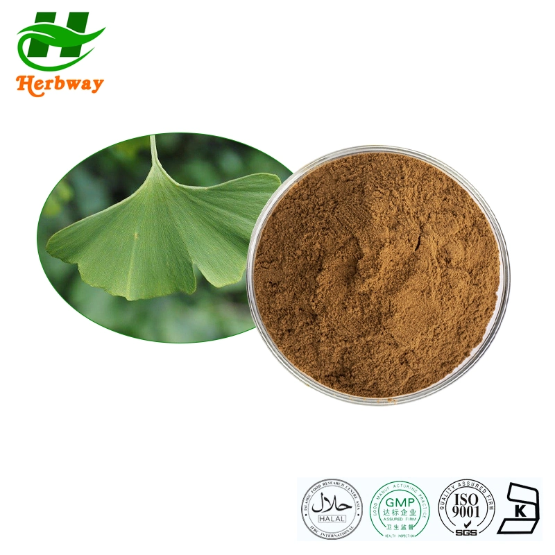 Herbway Ginkgo Biloba Extract Flavones Glycoside Ginkgo Leaf Extract Ginkgo Extract