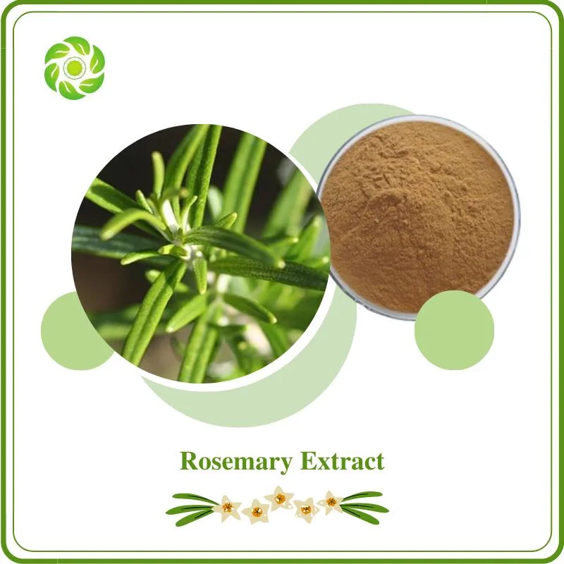 Boost Immunity 100% Natural Herb Plant Extract 24% Ginkgo Flavonoides 6% Ginkgolide 42-50: 1 Cosmetic Grade /Health Food/Pharmaceutical Ginkgo Biloba Extract
