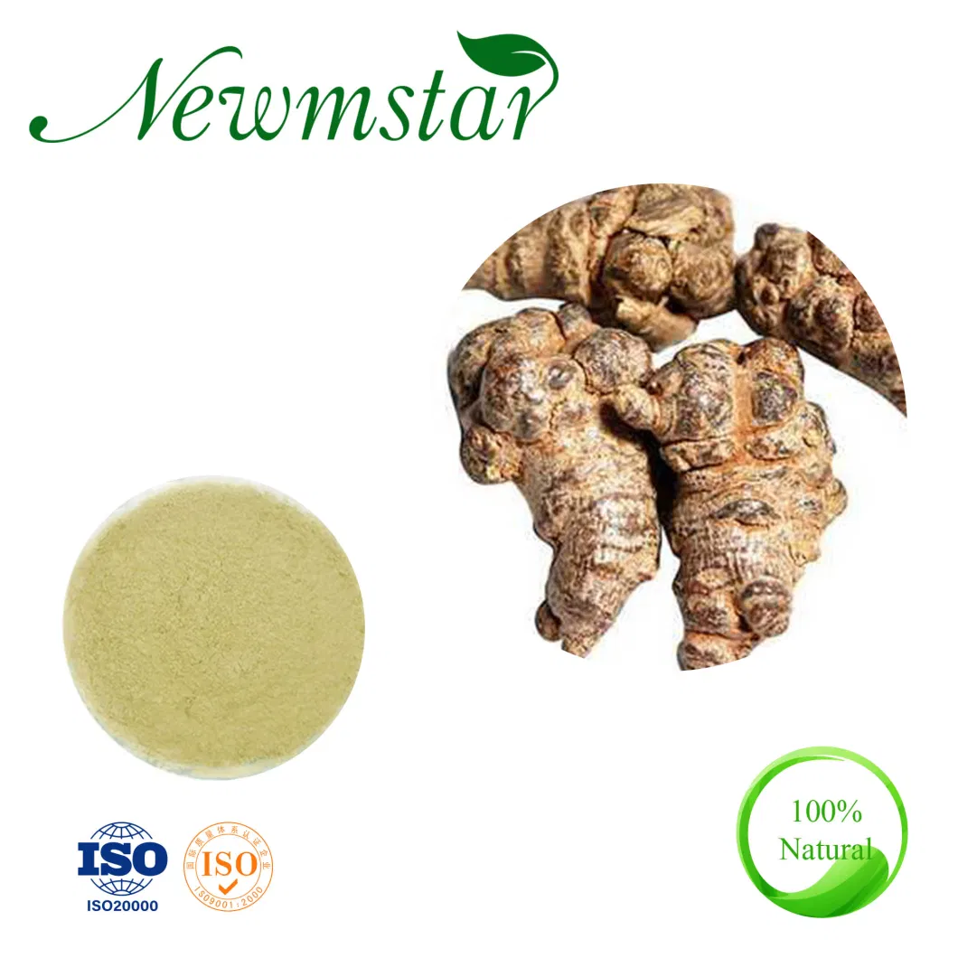 Astragalus Root Extract 10: 1 (Astragalus Membranaceous) 0.3%-98% Astragaloside