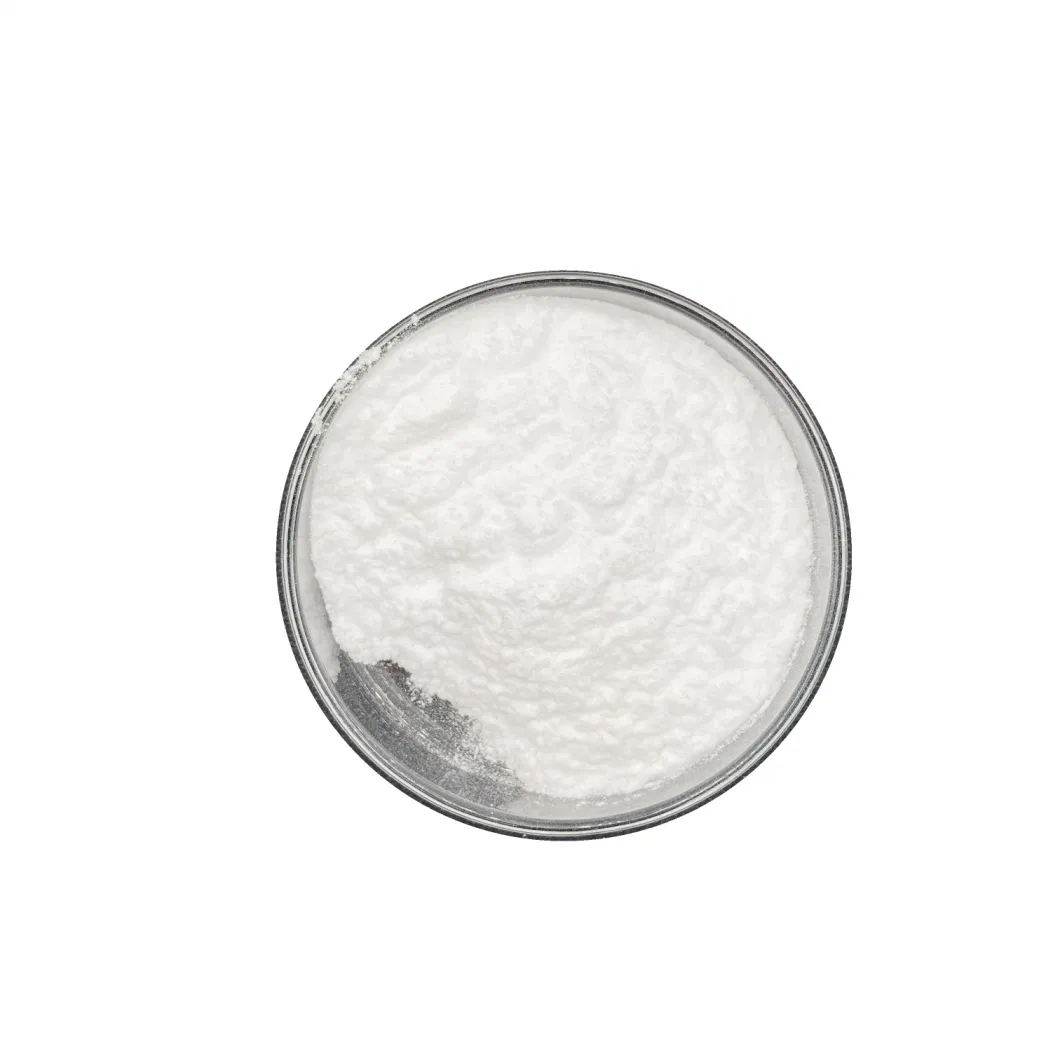 High Quality Natural Loquat Leaf Extract Powder 90% Ursolic Acid