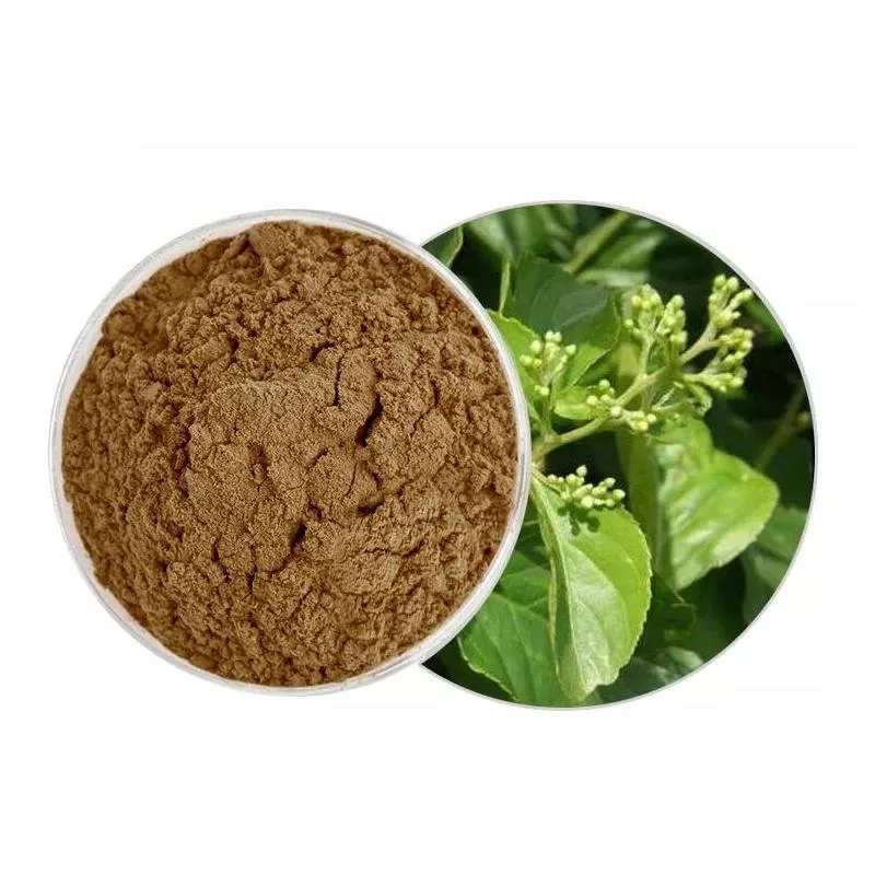 Traditional Chinese Herbal Medicine Tripterygium Wilfordii Extract Powder