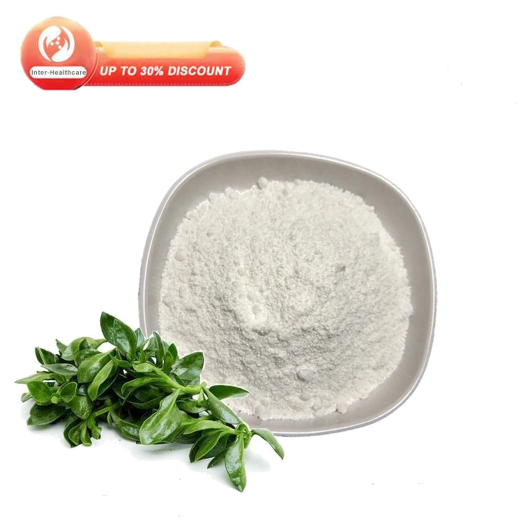 Wholesale Natural Herbal Extract Andrographis Paniculata Extract Andrographolide Powder CAS 5508-58-7 Andrographolide