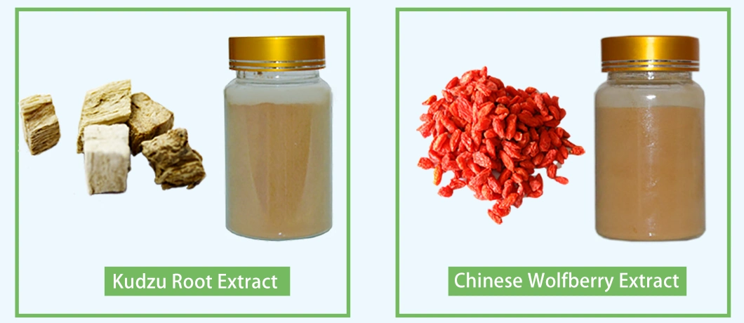 Natural Ginkgo Biloba Extract 24/6 Comply with Cp2015 Standards for Lower Blood Pressure Herb Herbal