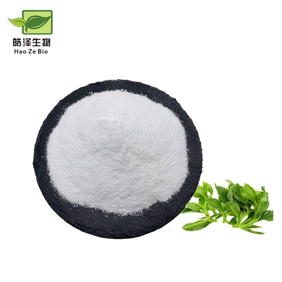 Bulk Andrographis Paniculata Extract 10%-98% Andrographolide Powder