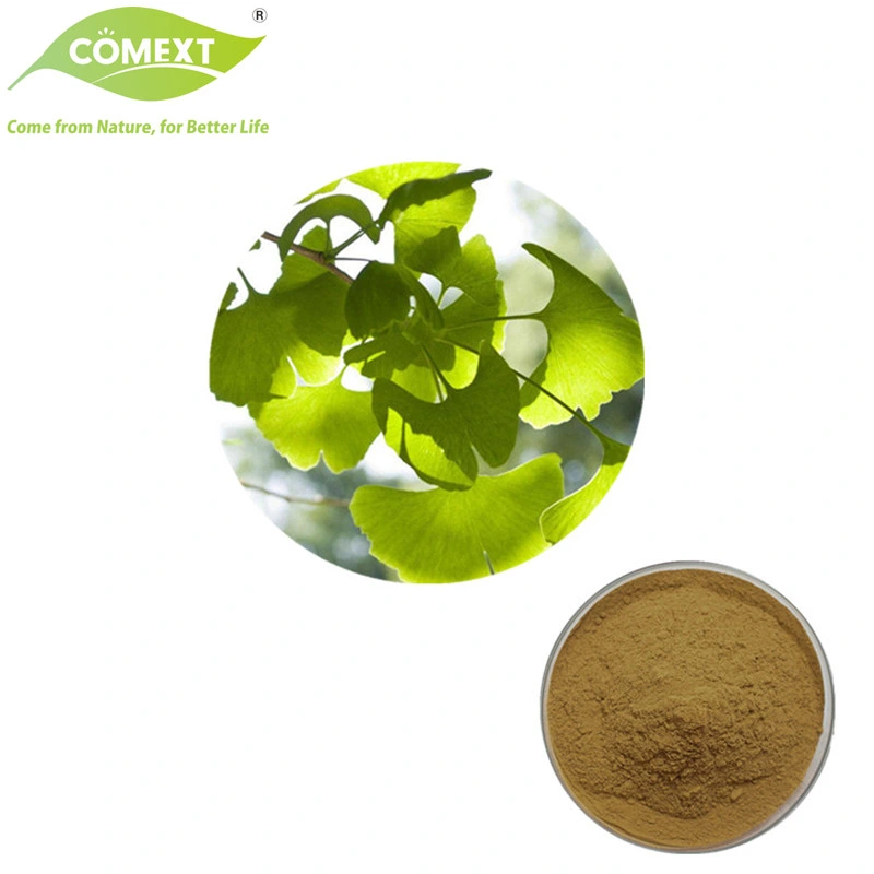 Comext Total Flavone Glycosides Powder Ginkgo Biloba Extract Ginkgo Leaf Extract