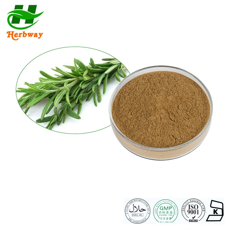 Herbway Kosher Halal Fssc HACCP Certified Botanical Extract 20%-50% Ursolic Acid Rosemary Extract