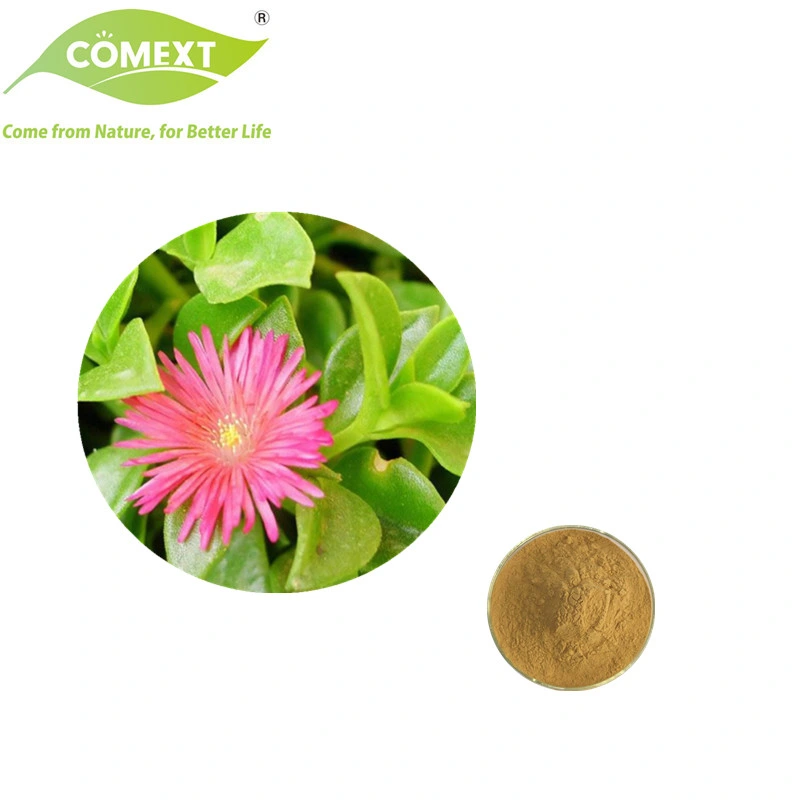 Comext Factory 100% Natural Product Andrographolide 5%-99% Andrographis Paniculata Extract