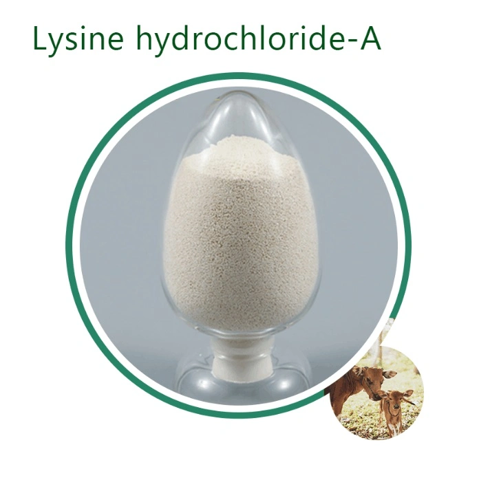 Wholesale Supply Nutritional Ingredient L-Cystine CAS 56-89-3 Food Grade