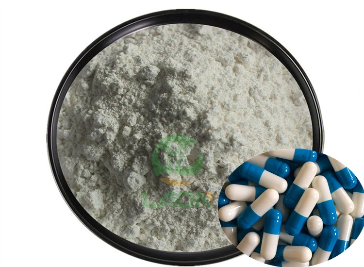 Andrographolide 12%-98% 5508-58-7 Andrographis Paniculata Extract