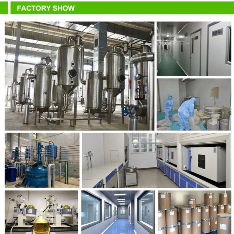 Comext Factory 100% Natural Product Andrographolide 5%-99% Andrographis Paniculata Extract