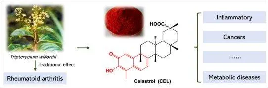 High Quality 99% CAS 34157-83-0 Celastrol Supplement Powder