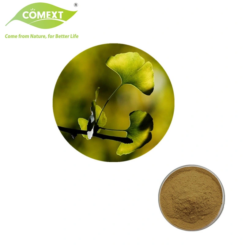 Comext Total Flavone Glycosides Powder Ginkgo Biloba Extract Ginkgo Leaf Extract