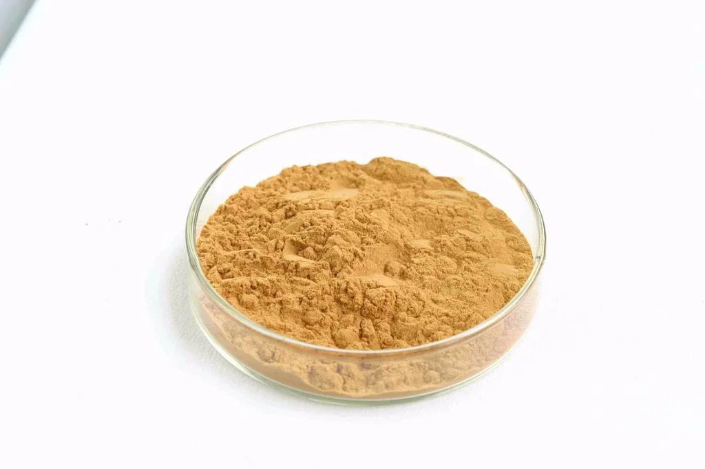 High Quality Natural Sweetner Without Sugar Momordica Grosvenori Swingle/ Luo Han Guo Extract Monk Fruit Extract
