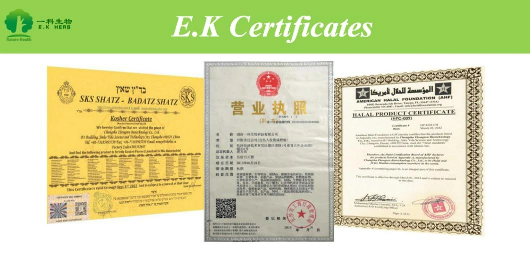 E. K Herb Factory Pure Natural Sophora Japonica Extract 98% Luteolin Sophora Japonica Extract Quercetin 95% CAS 117-39-5