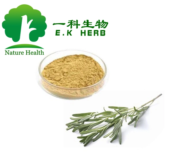 E. K Herb Organic Natural Rosemary Extract Botanical Antioxidant Carnosic Acid Rosemary Leaf Extract