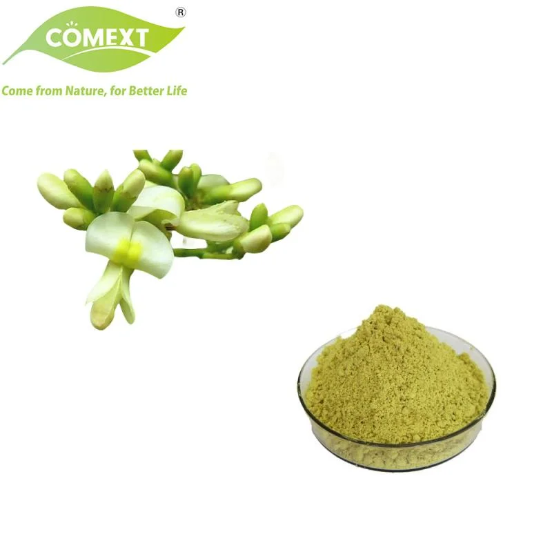 Comext Wholesale Rutin Quercetin 95% Sophora Japonica Extract