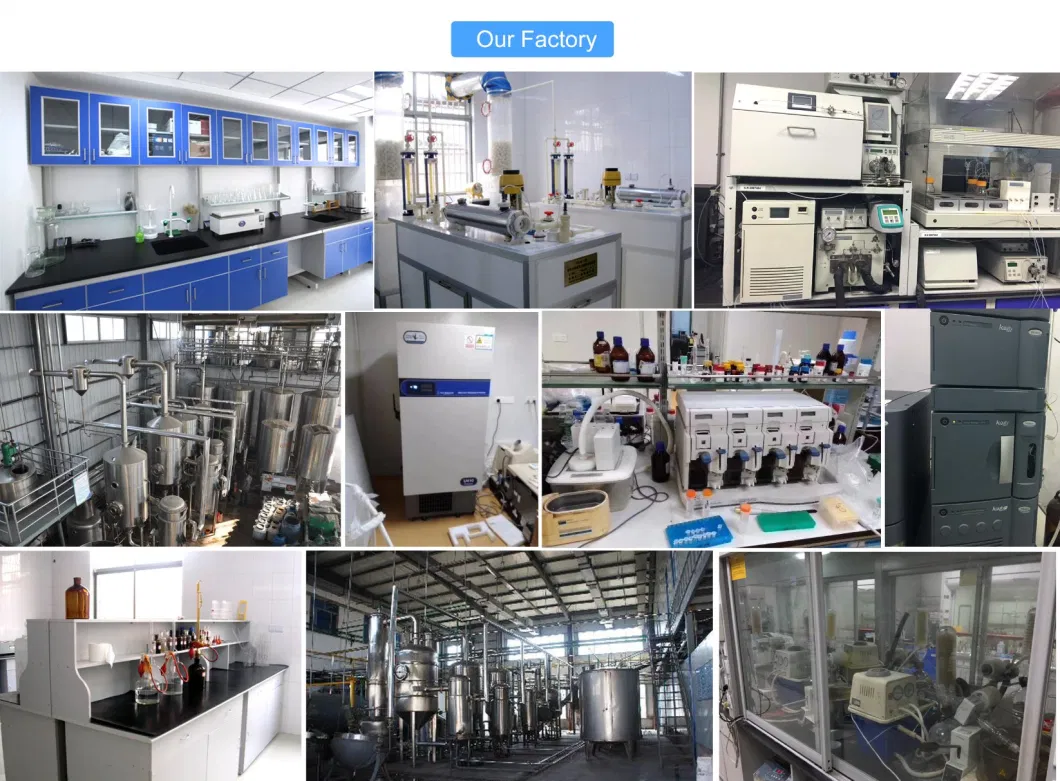 Supply N-Acetyl-L-Cysteine Powder 99% Food Additive China Factory
