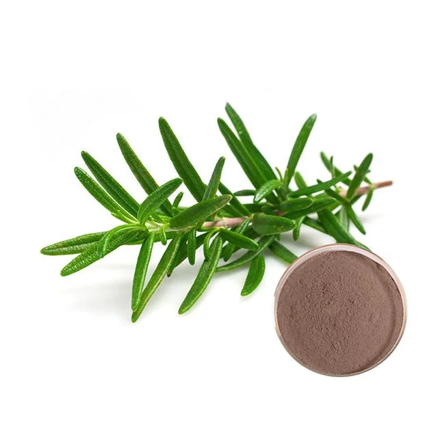 100% Pure Price Rosemary Extract Powder Carnosic Acid