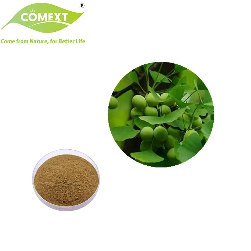 Comext ISO Halal Kosher Certificated Wholesale Price 24% Total Flavones Powder Ginkgo Biloba Extract Lower Blood Pressure