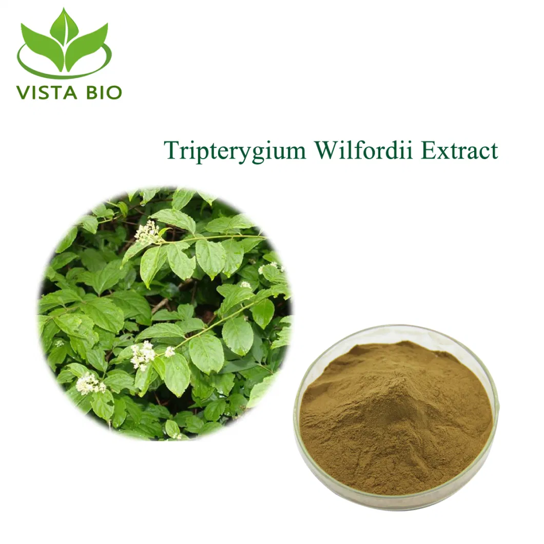 Factory Supply Natural Antioxidant Triptolide 98% Thunder God Vine Extract Tripterygium Wilfordii Extract