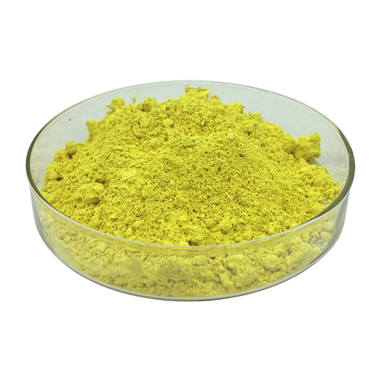 ISO Certified Factory Sophora Japonica Extract 98% 99% Powdered Quercetin