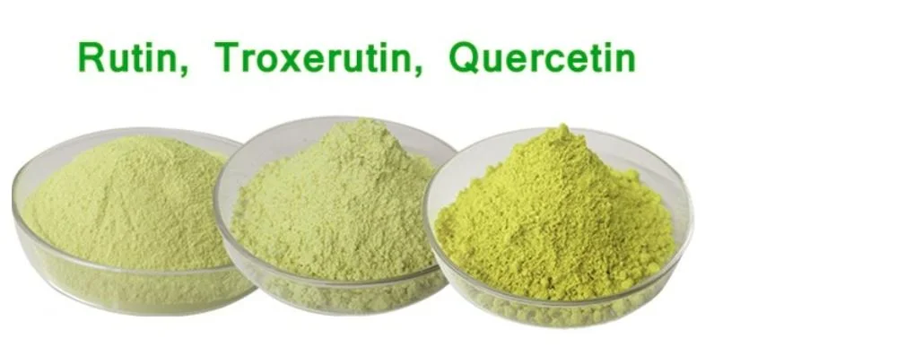 E. K Herb Factory Pure Natural Sophora Japonica Extract 98% Luteolin Sophora Japonica Extract Quercetin 95% CAS 117-39-5