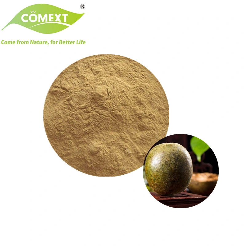 Comext Hot-Selling Food Grade Monk Fruit Extract Powder 100% Natural Extract for Sweetener