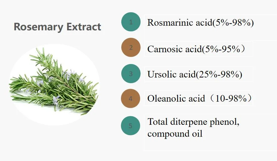 E. K Herb Organic Natural Rosemary Extract Botanical Antioxidant Carnosic Acid Rosemary Leaf Extract