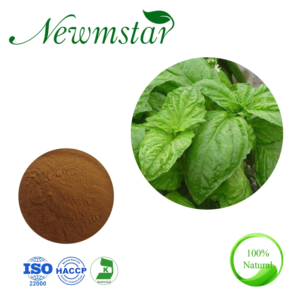 Organic Herb Plant Holy Basil 10: 1 Tulsi Leaves Powder Extract Ursolic Acid