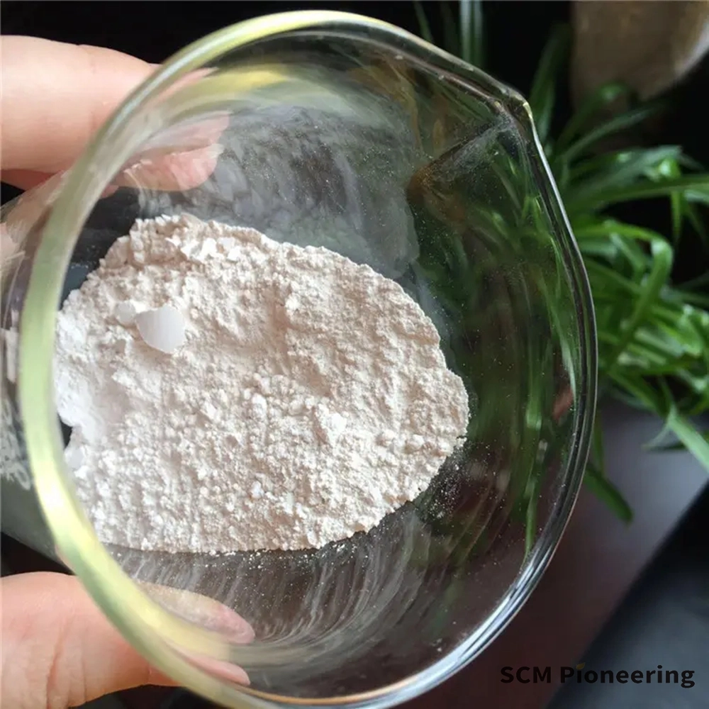 Food-Grade Iron Phosphate Enrichment Powder Ferric Phosphate 10045-86-0