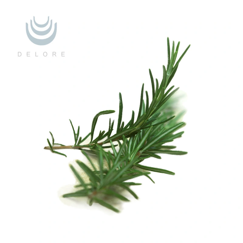 Kosher/Halal Factory Supply Rosemary Extract 10% 20% Carnosic Acid, Carnosic Acid Powder/Liquid or Oil