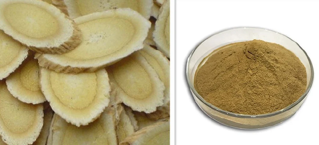 Natural Polysaccharides 20% 70% Astragaloside IV 0.5% Astragalus Root Extract with ISO22000 Certificate