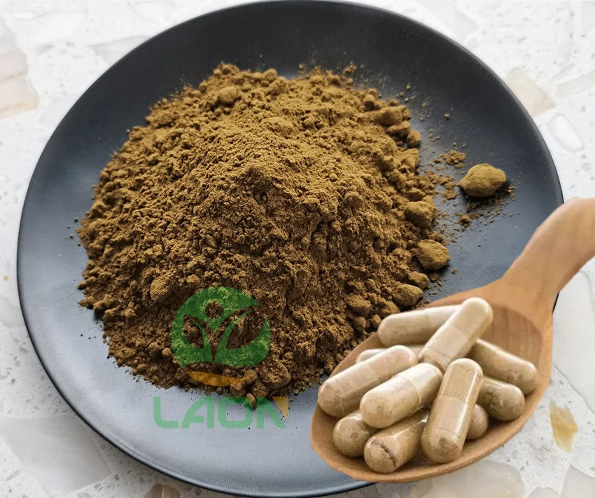 Astragalus Root Extract 0.3% 5% 10% 20% Astragaloside IV Powder
