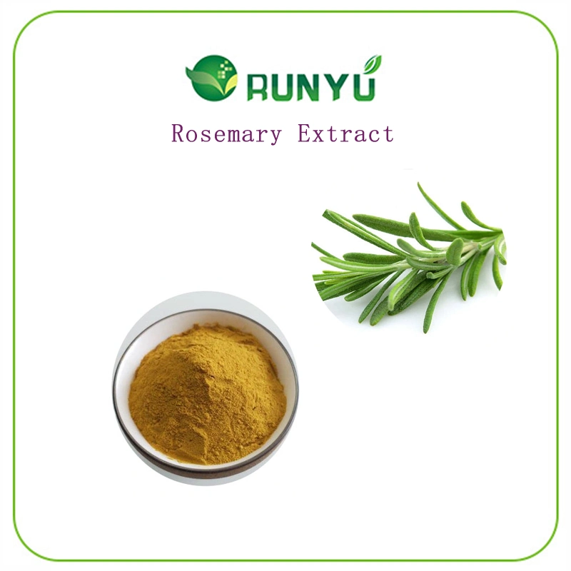 CAS 20283-92-5, 3650--09-7, 77-52-1natural High Quality Carnosic Acid 70%-90% Rosemary Extract