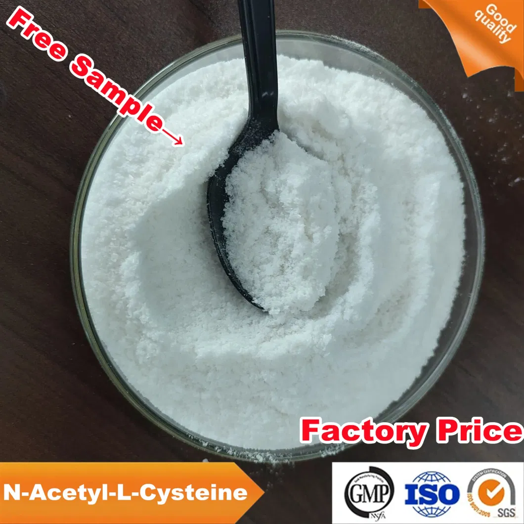 Free Sample 99% Powder CAS 616-91-1 N-Acetyl-L-Cysteine