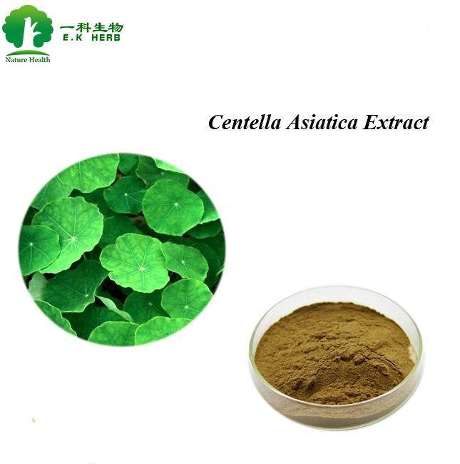 E. K Herb Botanical Extract Factory Supply Bitter Almond/Apricot Extract Amygdalin 98% Vb 17 Magnolia Magnolol, Monk Fruit, Centella Asiatica Extract