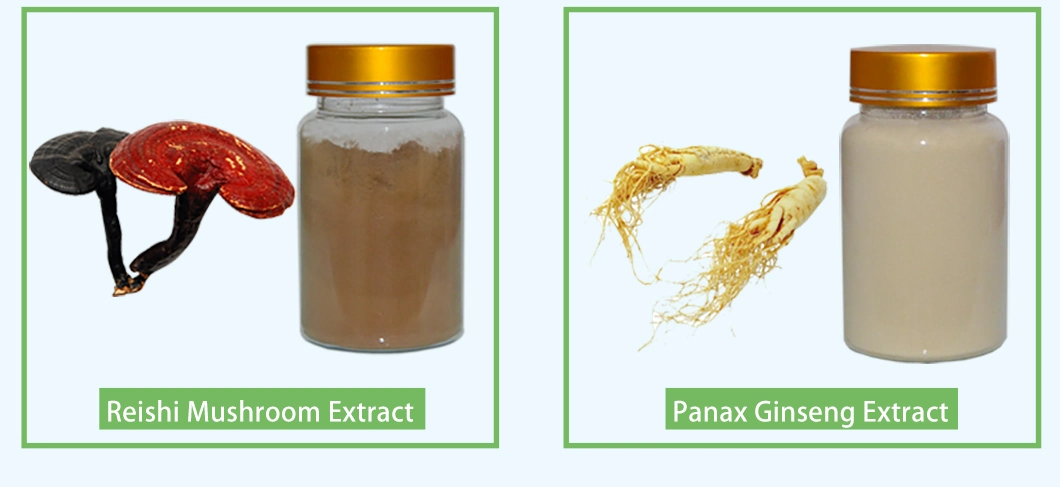 Natural Ginkgo Biloba Extract 24/6 Comply with Cp2015 Standards for Lower Blood Pressure Herb Herbal