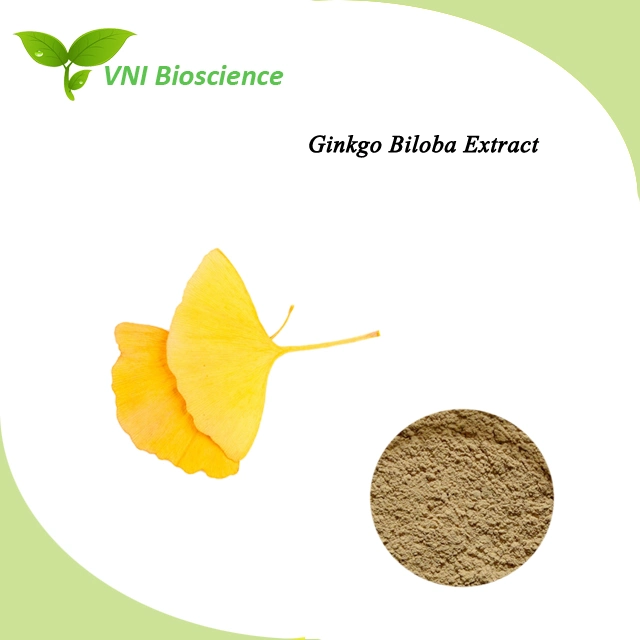 Kosher Certified 100% Natural Ginkgo Biloba Extract