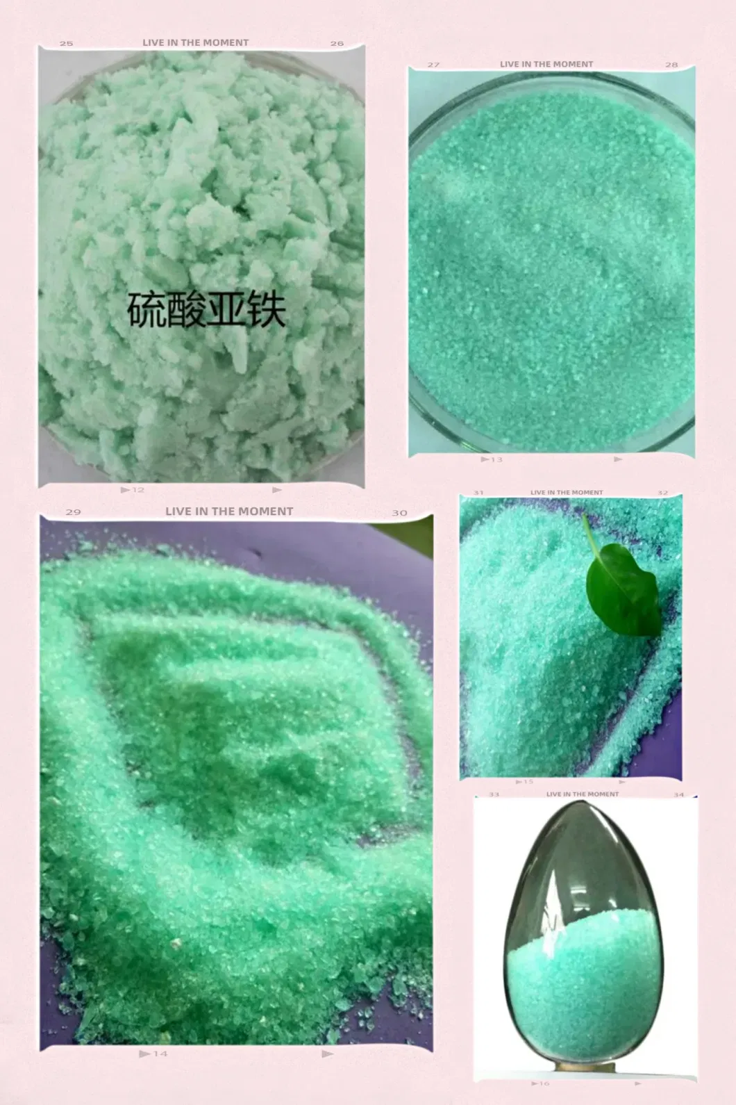 Bulk Price Ferrous Sulfate Ferrous Sulfate Heptahydrate Feso4 for Waste Water Treatment