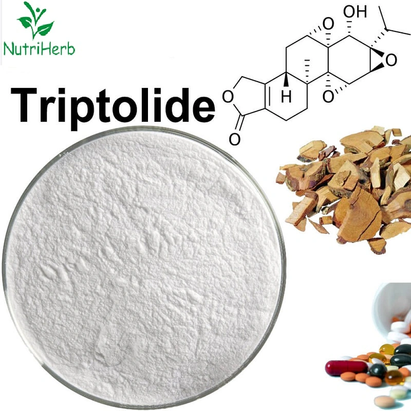 Best Wholesale Price Tripterygium Wilfordii Root Extract 98% Triptolide