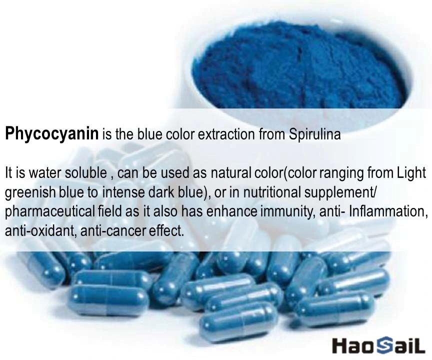 Prefessional Phycocyanin Spirulina Extract, Spirulina Blue Phycocyanin Powder, Bluespirulina